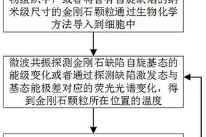 测量生物组织或细胞温度的方法及装置