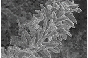 枝干状Ag纳米结构、修饰电极及其制备方法和应用