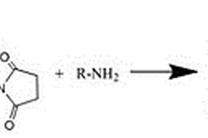 氨基官能团化合物及糖链标记带正电荷质谱衍生化试剂