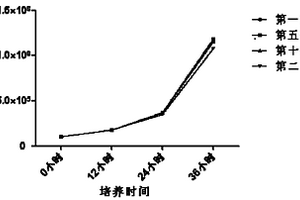 抗人ppGalNAc-T2单克隆抗体及其应用