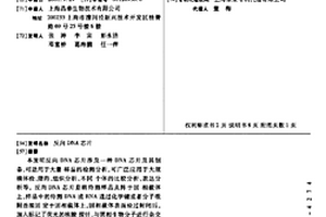 反向DNA芯片