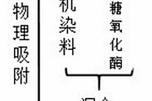 葡萄糖氧化酶生物传感器的制备及使用方法