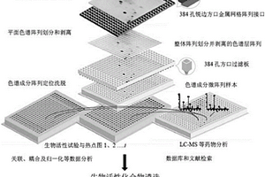 样品处理装置及含有该装置的生物活性筛选系统