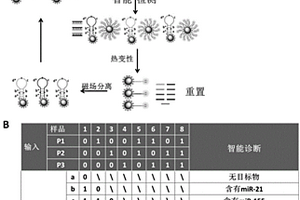 基于磁纳米球的可重置分子逻辑门的合成及应用