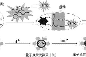 量子点-有机染料复合物关/开型镉离子比率荧光探针及其制备方法