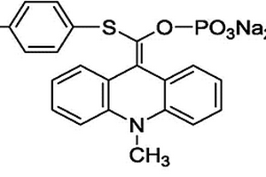 吖啶酯衍生物及其合成方法和应用