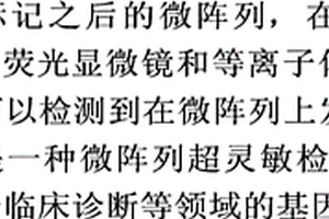 双探针基因芯片信号放大方法