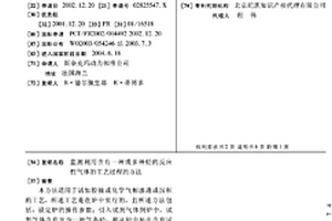 监测利用含有一种或多种烃的反应性气体的工艺过程的方法