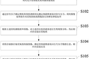 基于群感效应的微生物燃料电池系统开发方法