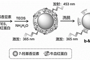 三荧光发射分子印迹传感器及其制备和应用