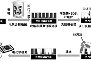 沙门氏菌仿生印迹电极的制备及应用