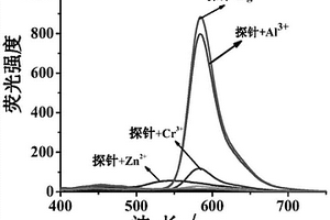 探针及其制备和应用