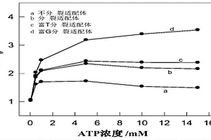 信号增强型人血清ATP荧光传感器