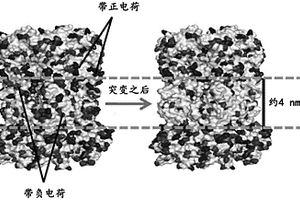 纳米孔组件及其用途