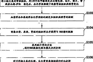 基于应用代谢组学对中药知柏地黄丸疗效的试验方法