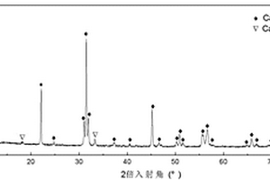 测氢用固体电解质管的制备与成形方法