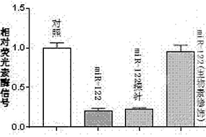 微小核糖核酸122探针及其制备方法