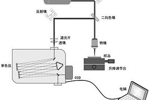 基于物镜信号采集的拉曼光谱仪