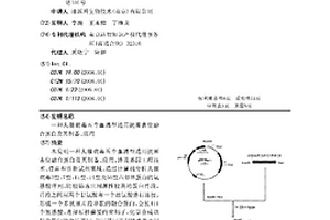 人腺病毒五个血清型通用抗原表位融合蛋白及其制备、应用