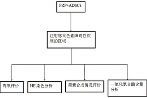 用于色素障碍性疾病的制剂及其制备方法和应用