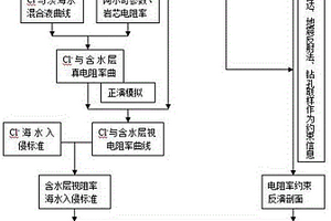 综合监测海水入侵砂岩含水层方法