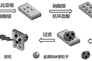 具有过滤功能SERS基底的制备方法及应用