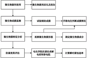 循环水金属微生物膜生长状态监测及防腐效果评估装置及方法