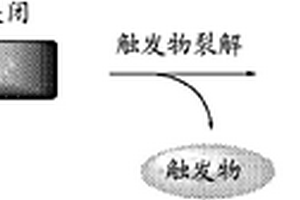可活化的发荧光的化合物及其作为近红外探针的用途