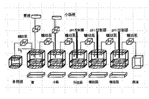 体外条件下重现人体胃肠道及微生态系统的模拟装置