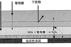传感器层和与其相关的方法