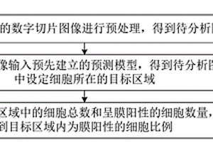 用于PD-L1抗体染色切片的自动读片方法及其系统