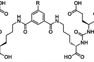 用于靶向PSMA的EuK二聚体化合物、衍生物及其应用