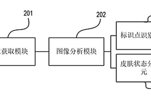 皮肤过敏判定系统