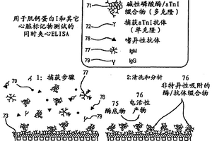 嗜异性抗体免疫传感器干扰的改善