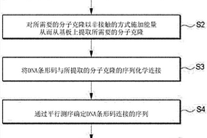 分子克隆提取和验证方法