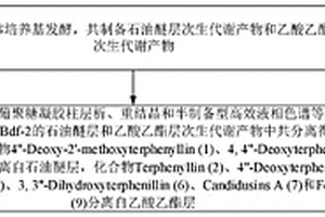 共生真菌单体化合物快速分离制备方法和应用