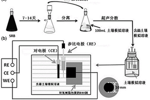 微生物腐蚀电子转移机制的研究方法及其应用