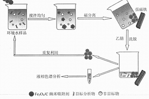 核壳式Fe3O4/C磁性纳米固相萃取剂的制备及应用