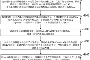 一组纳豆激酶核酸适配体及其筛选方法