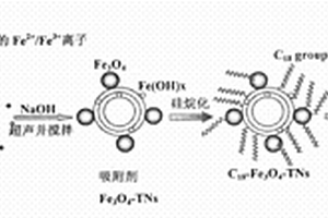 磁性钛酸纳米管Fe3O4/TNs的制备及应用