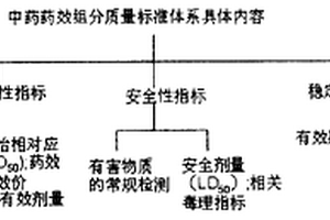 组分中药的研究方法和技术路线