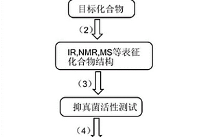 新型吲哚类化合物及其制备方法和应用