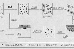 混合胶束核壳式Fe3O4/SiO2磁性纳米固相萃取剂的制备及应用