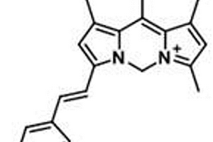 基于Cardipy染料的溶酶体靶向荧光探针及其制备方法和应用