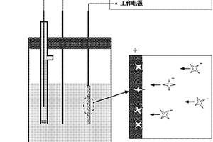 电增强分子印迹固相微萃取方法