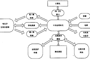用于闭环胰岛素注射的无创血糖仪