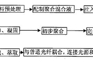 多孔塑料光纤探头及其制备方法