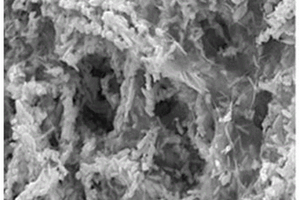 BiPO<Sub>4</Sub>/3DNGH三维光电功能纳米材料的制备方法