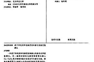 质子导电固体电解质固相参比电极定氢测头