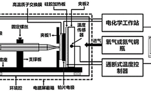 测试质子交换膜氧气传质系数的微电极系统和方法